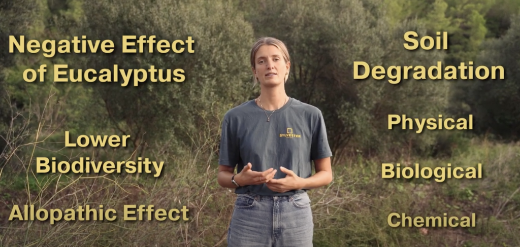 A young woman in front of a green landscape. Next to her pasted words under the headline "Negative Effect of Eucalyptus".