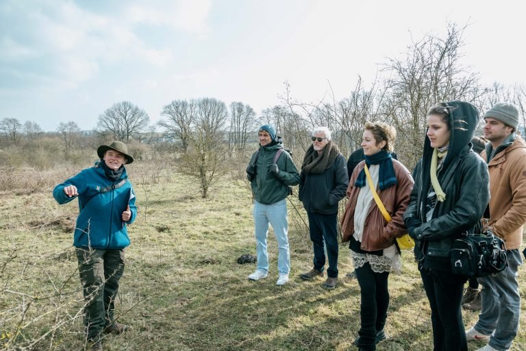A group of people standing on a pasture in the sun listening to a woman pointing towards a tree.