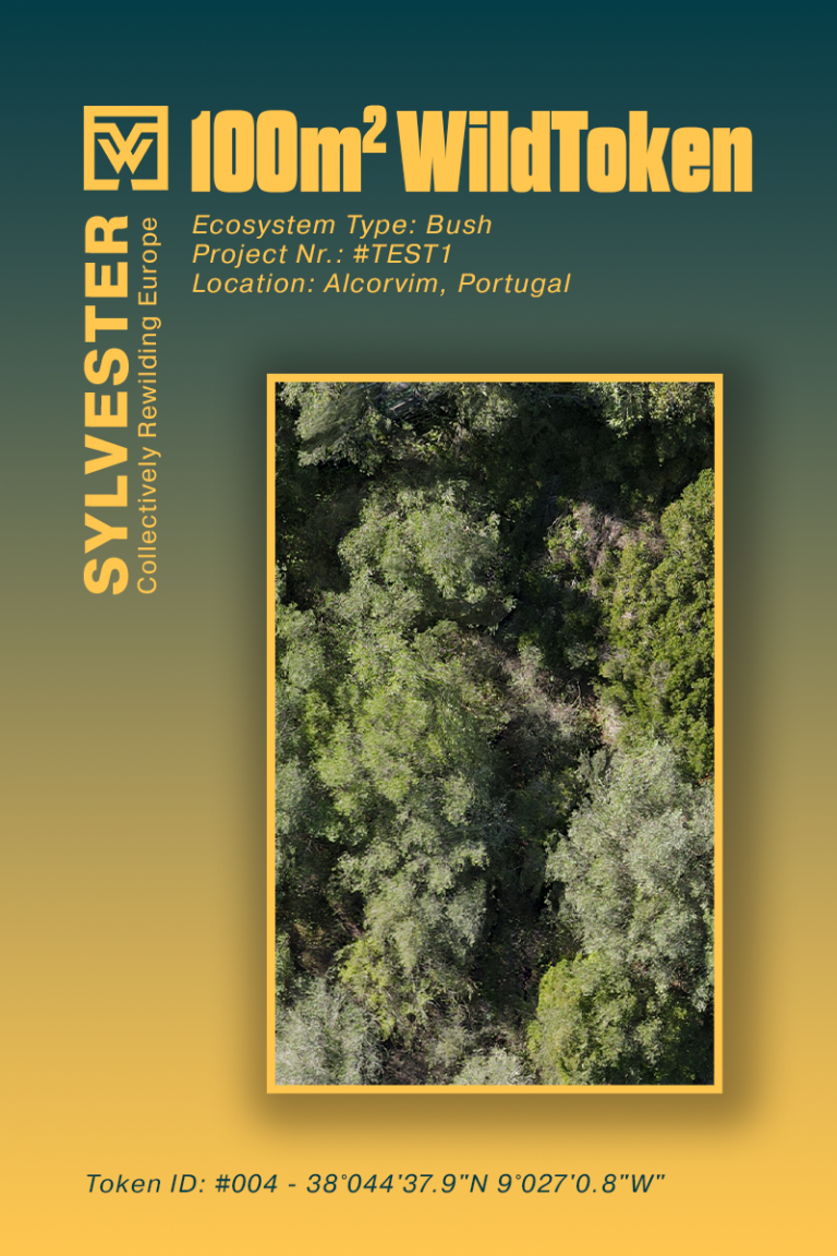 picture of a trial wildtoken. showing name, loction of land and an image of the plot.