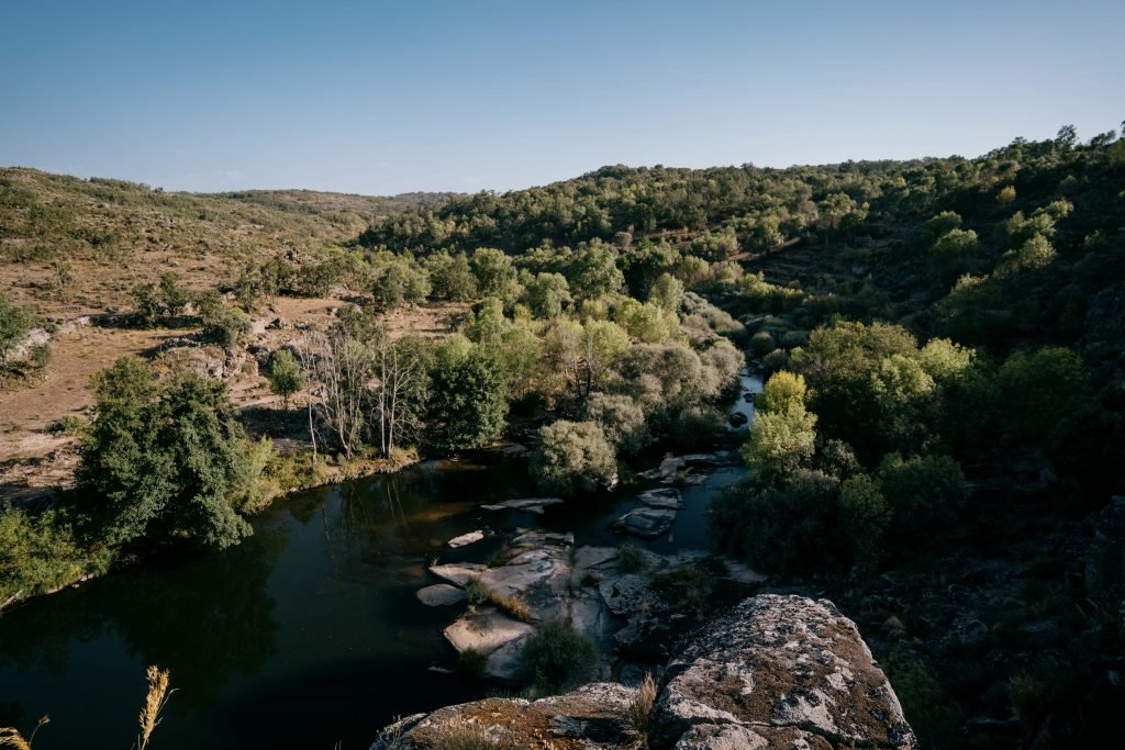 view down into a lush green vally with a river
