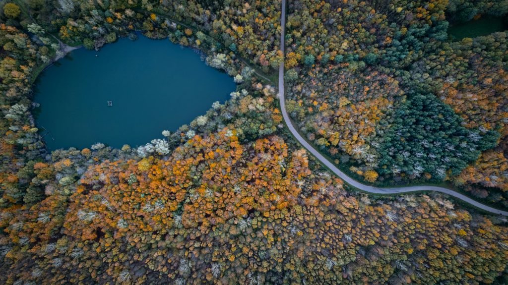 drone image of an old miningsite called sophienhöhe in german. the image shows a small road passing by a lake surrounded by trees in autumn colord leaves