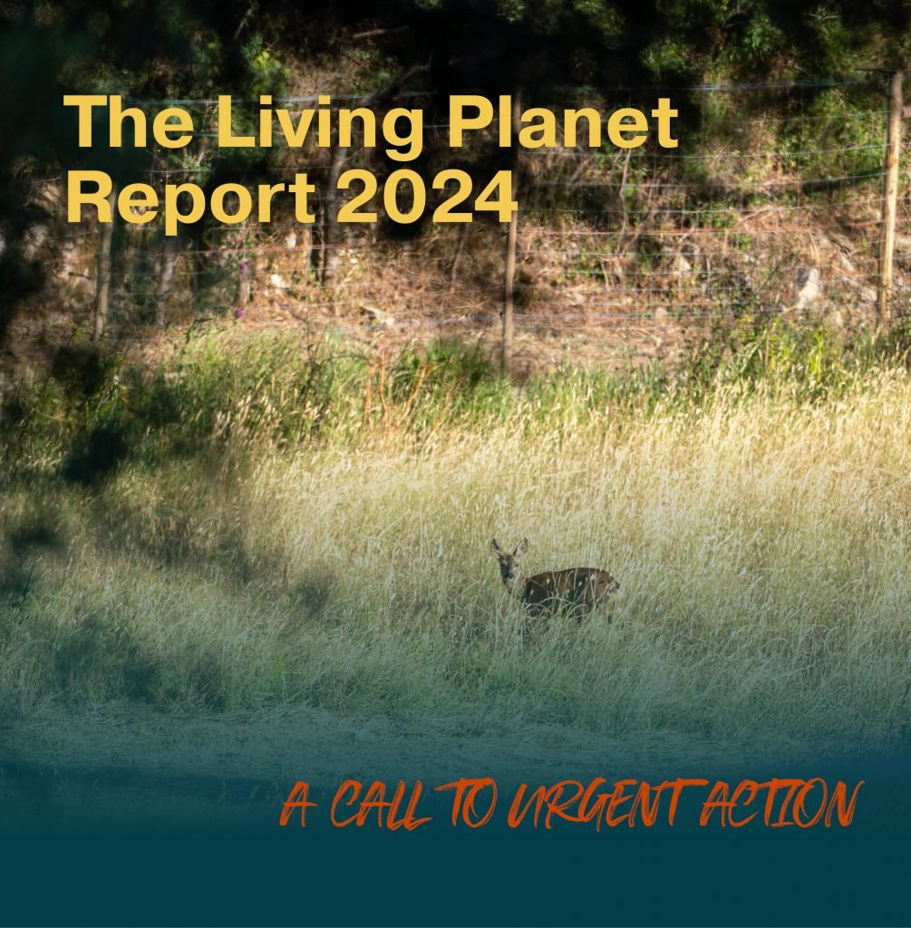 image of a deer standing in high grass. the title o the picture says: Living planet report. a call to urgent action.