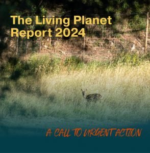 image of a deer standing in high grass. the title o the picture says: Living planet report. a call to urgent action.
