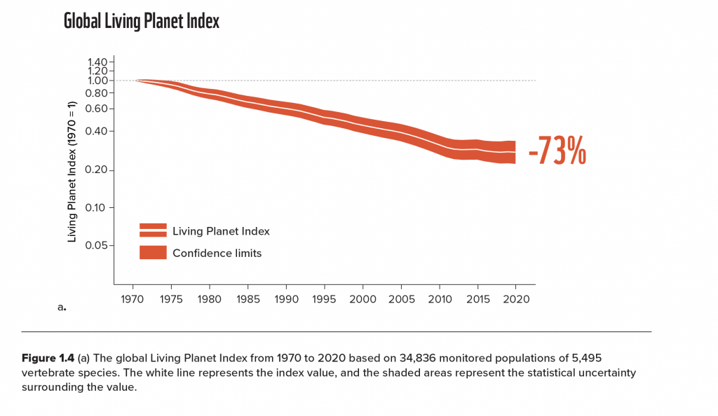 living planet report graphic showing the average decline of species since 1977