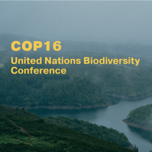 A tile showing some land and river with the writing "COP 16: United nations Biodiversity Conference".