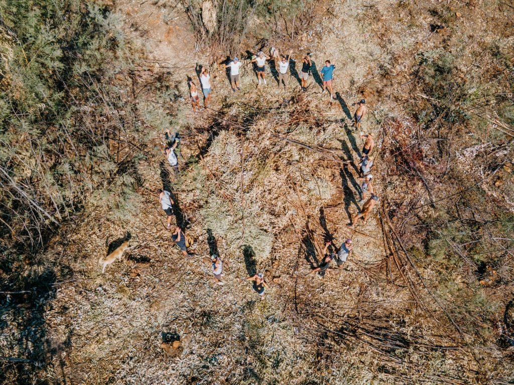 Sylvester Team Drone Eucalyptus