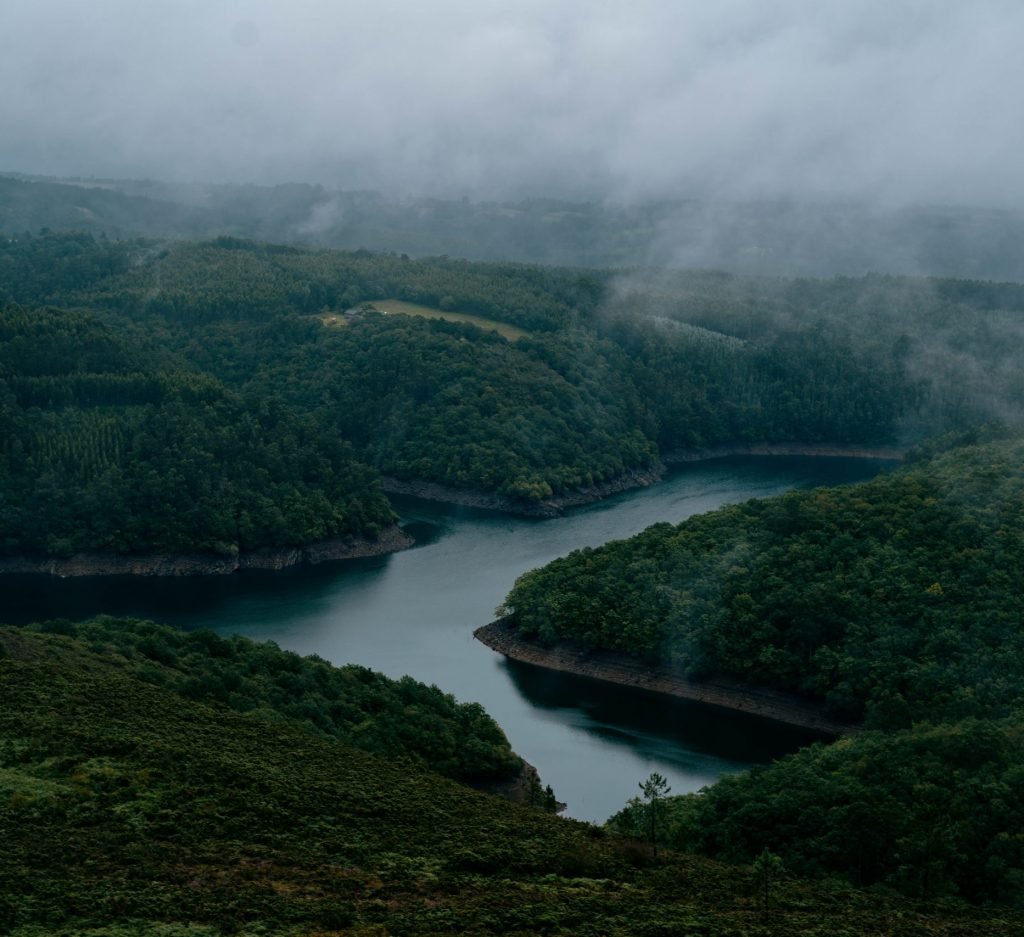 Galician Landscape Sylvester Rewilding