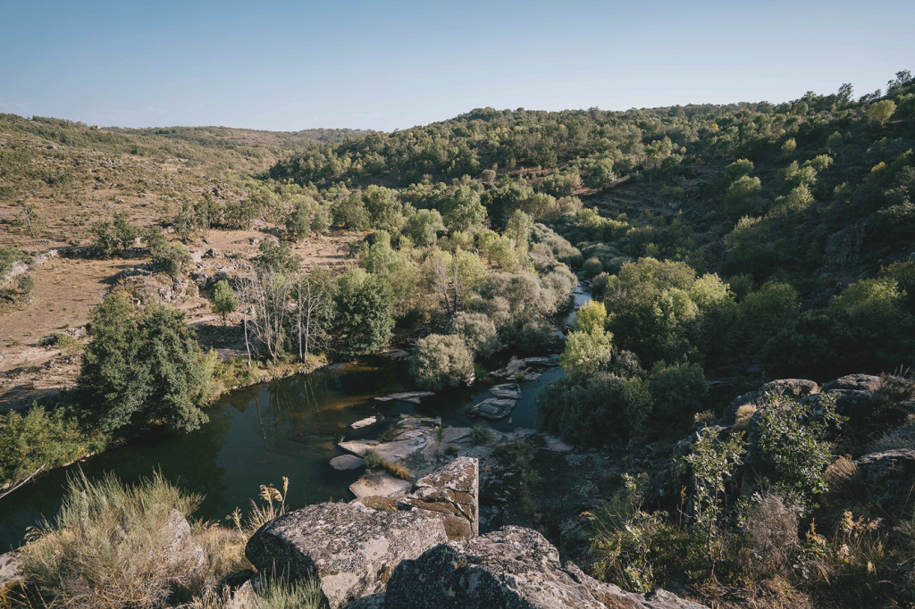 Rio Côa Valley Sylvester