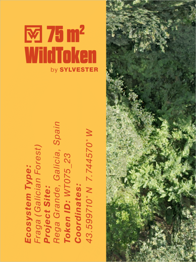 75m2 WildToken