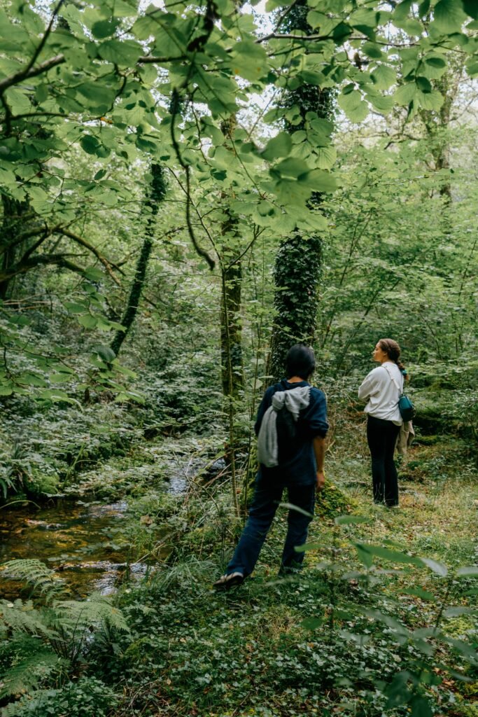 two people in the forest looking at trees