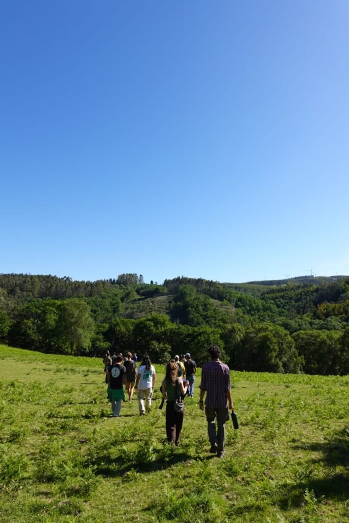 crowd of people walking through nature